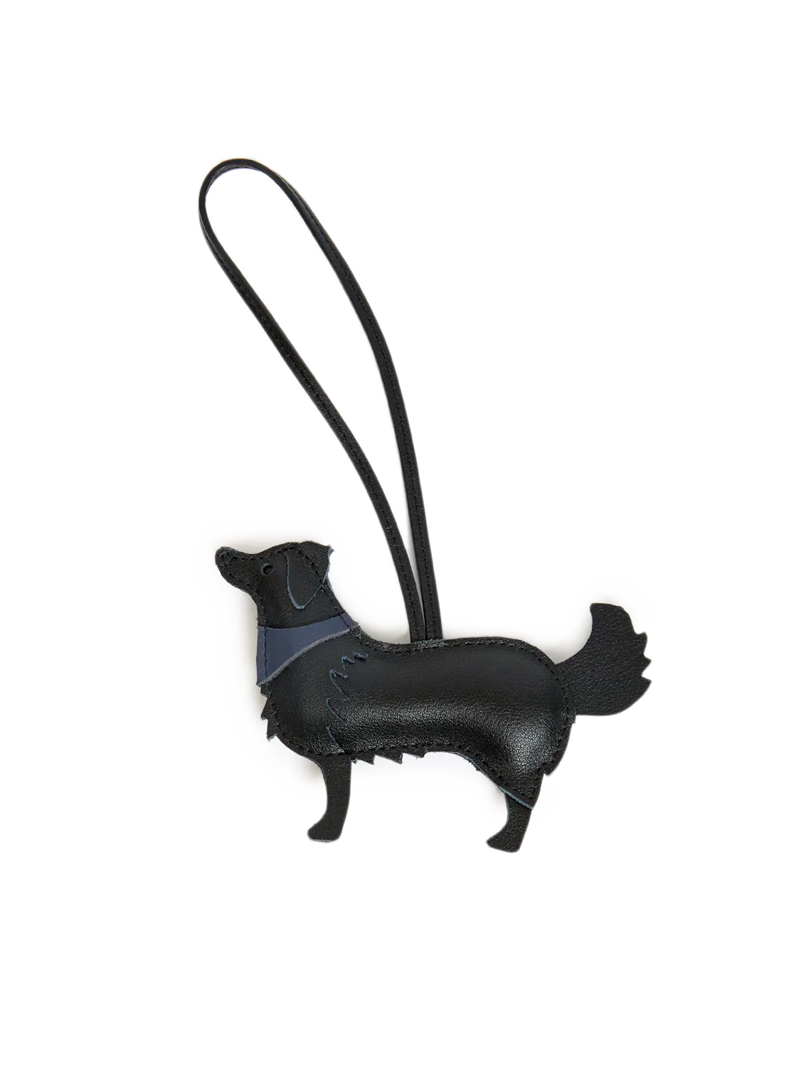 coqui fob