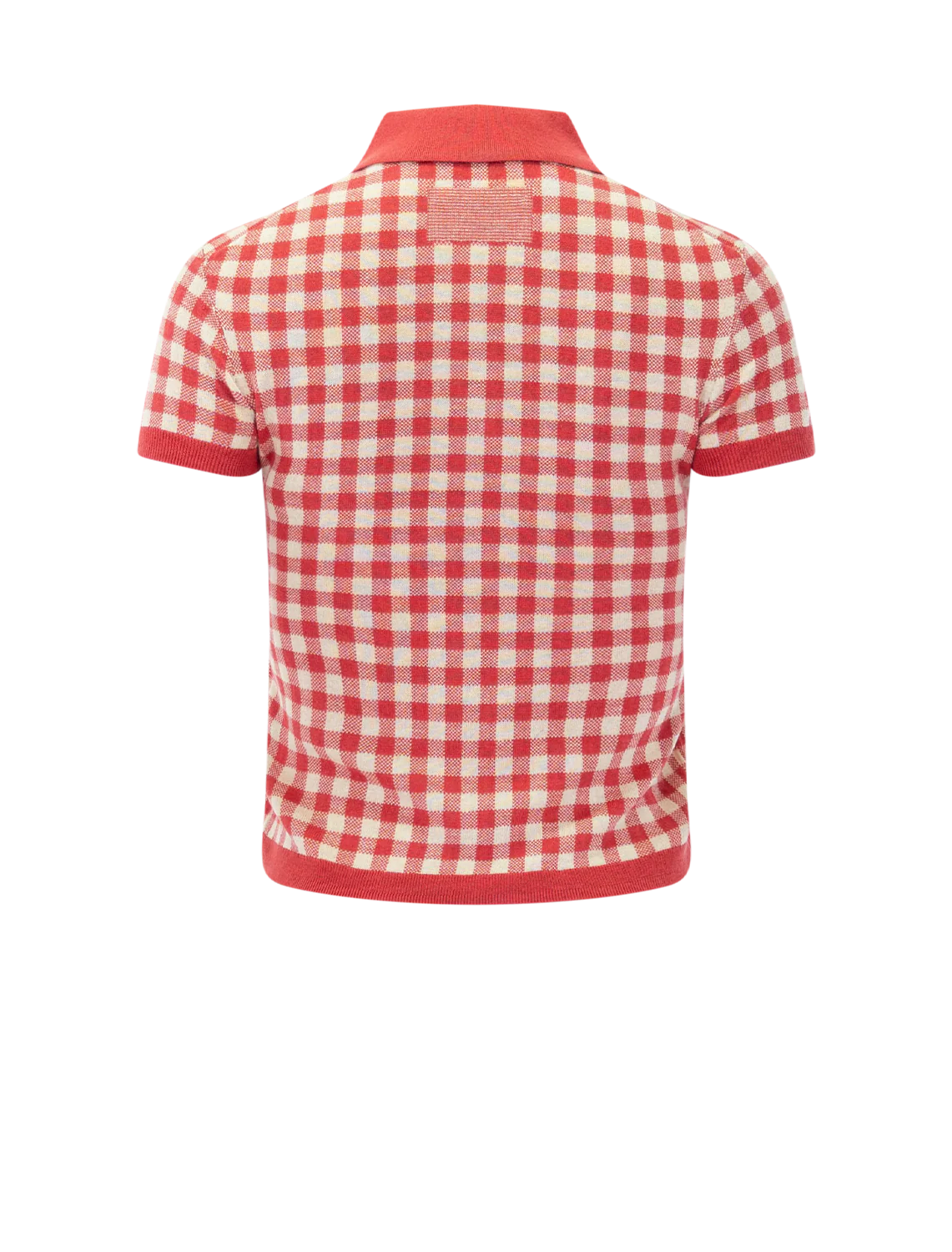 gingham polo in scarlet and mist - Image 3