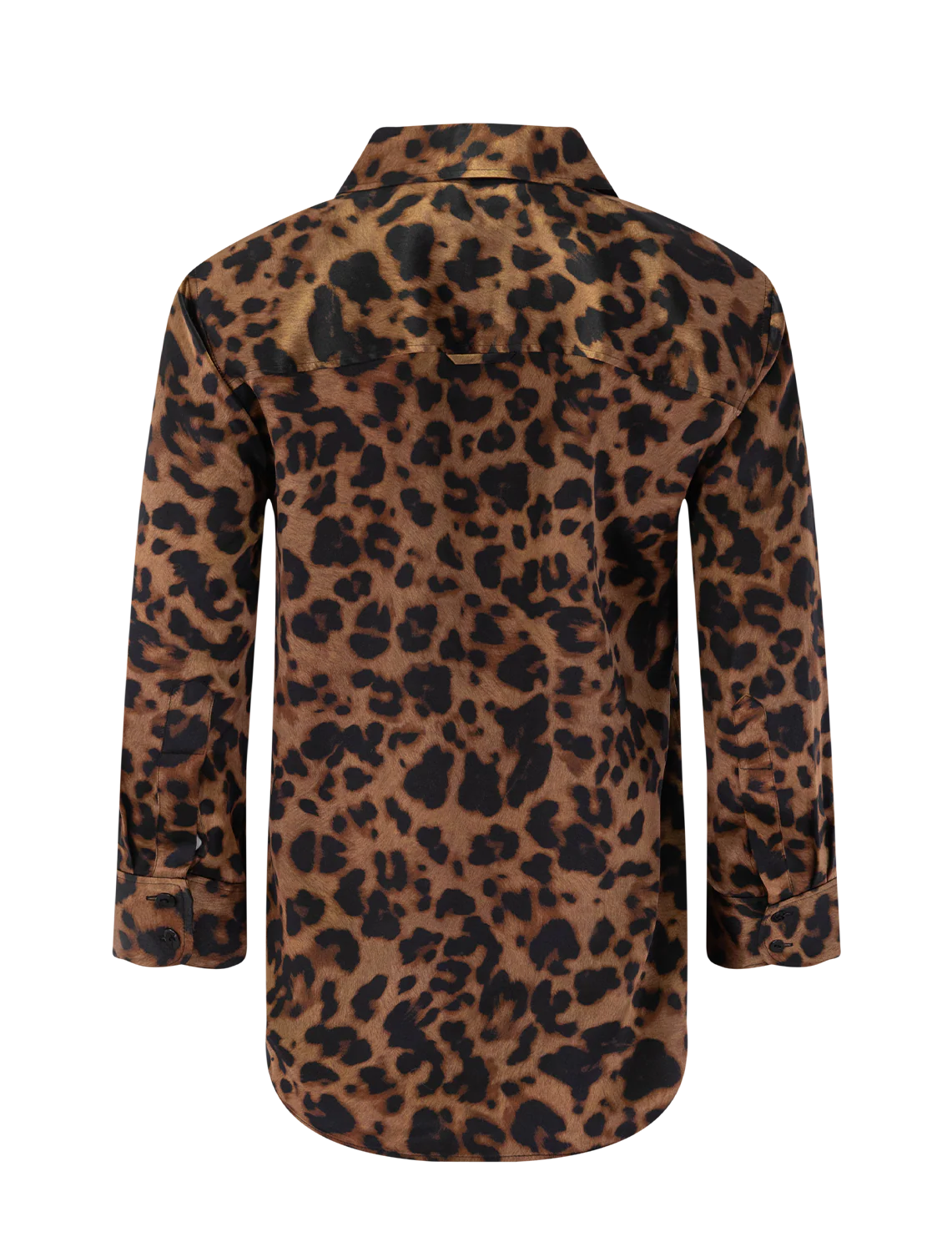dani in brown leopard - Image 3