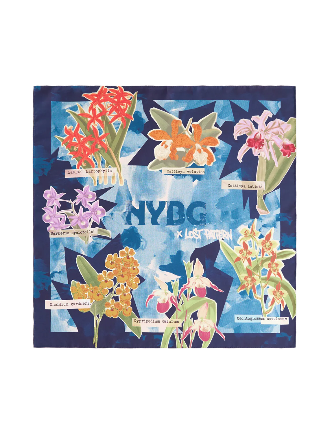 LP + NYBG Orchid on the Block scarf in blue