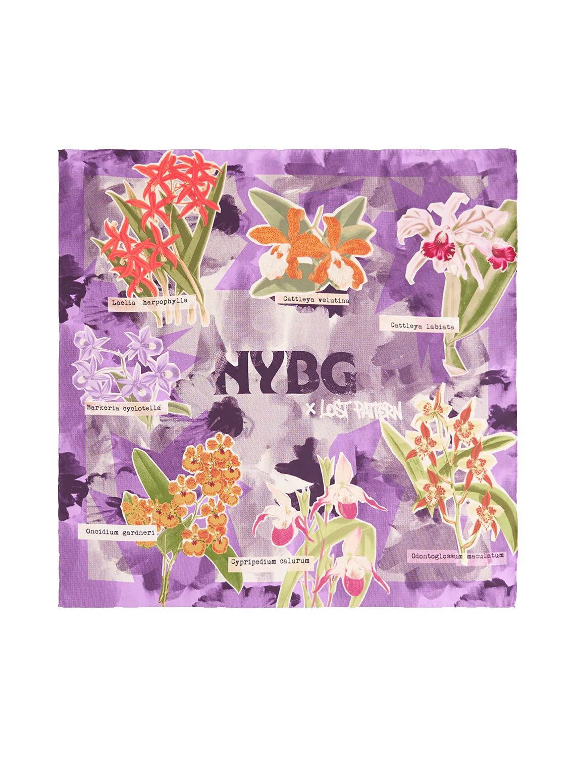 LP + NYBG Orchid on the Block scarf in purple